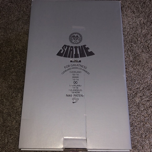 Used Lebron 20s - Picture 11 of 13